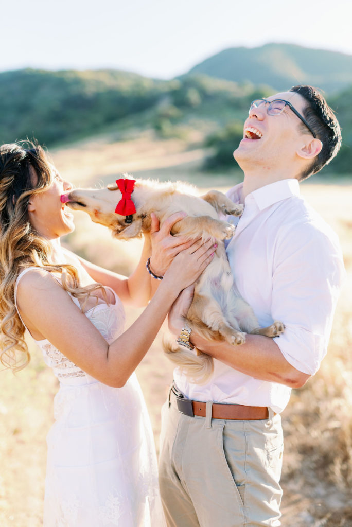 Engagement shoot with your dog