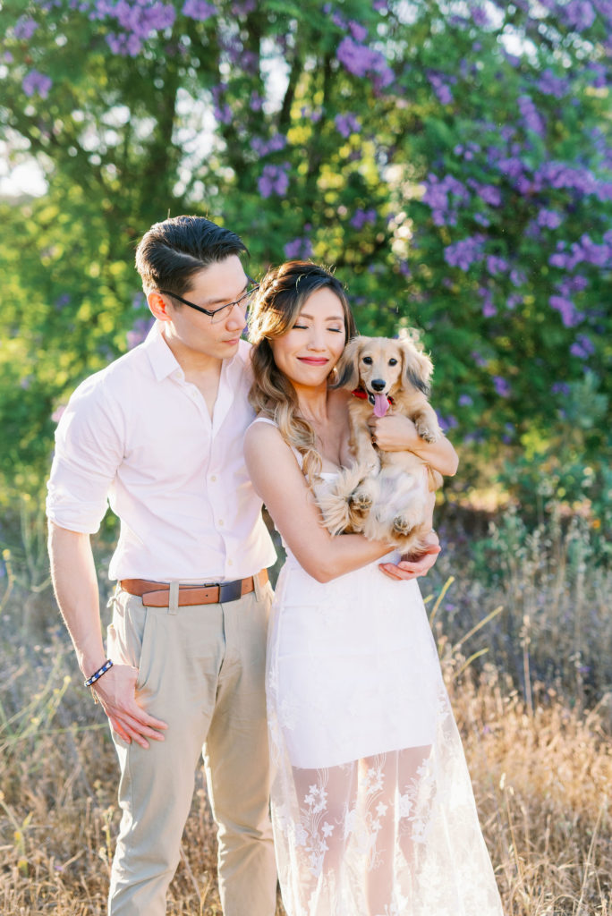 Dog at engagement shoot for pictures
