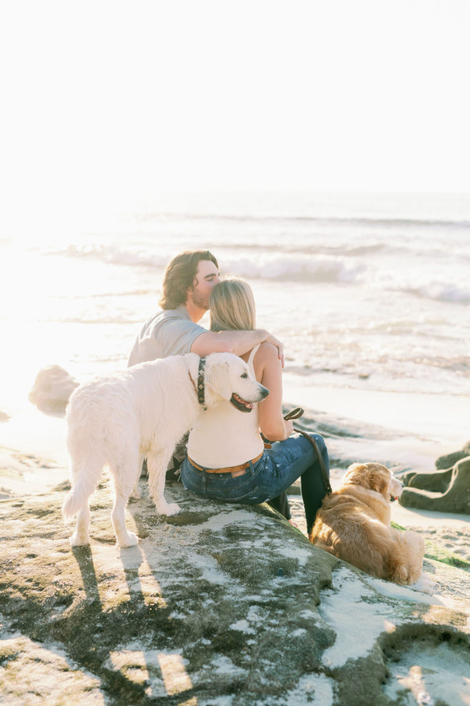 San Diego beach with dogs