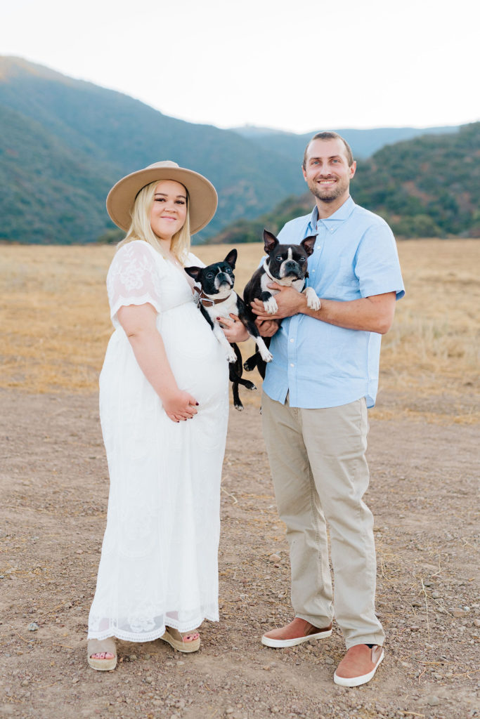 Maternity shoot with dogs